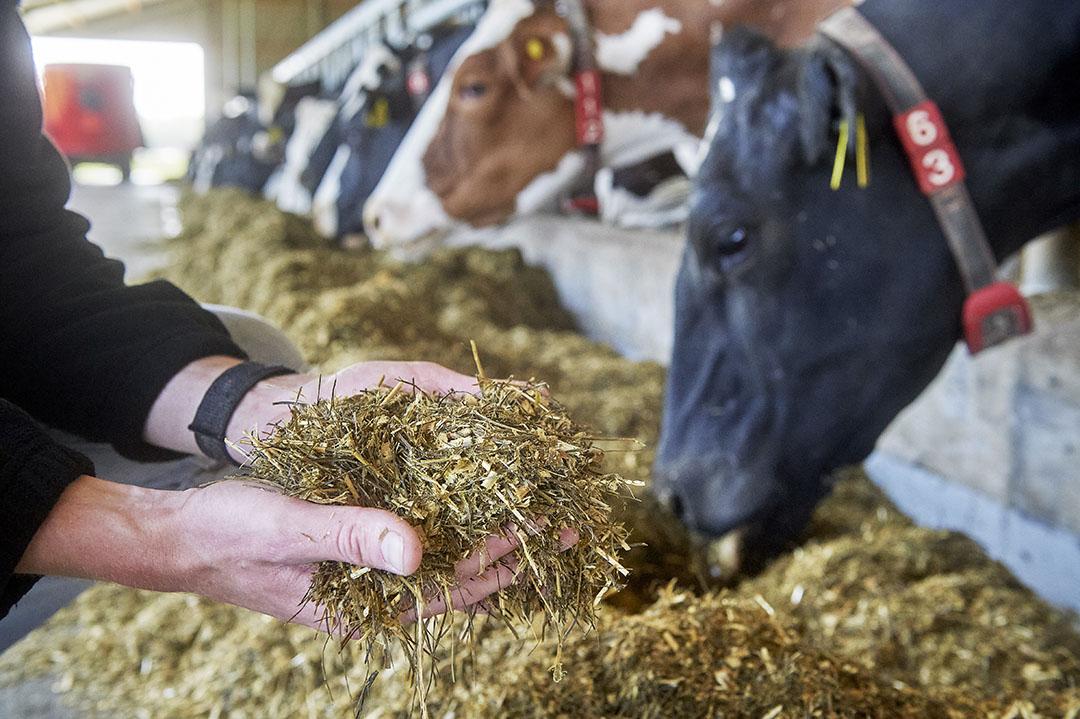 Dairy farming experts consulting representing Sonandi Farm advisory services